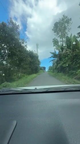 Car drives through lush green landscape in Banjar, Indonesia