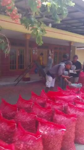 A group of people are gathered in front of a building with red sacks of onions in the foreground. A man in a grey shirt and white shorts is looking at his phone while holding a container of onions. Another man in a purple shirt is standing and holding a red sack. A woman in a black hijab and brown clothes is sitting on the ground with a pile of onions beside her. The building has a yellow awning and red trim. There is a flagpole with an Indonesian flag. The ground is paved with bricks.