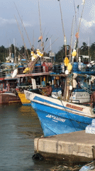 Morning harbor activity observed at Dondra fishing port