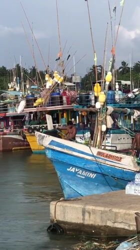 Morning harbor activity observed at Dondra fishing port
