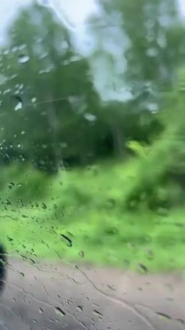 The video shows a view through a wet window, likely a car windshield, during what appears to be a drive. Raindrops are visible on the glass, distorting the view of the outside environment. Beyond the window, lush green trees and foliage are apparent, suggesting a natural, wooded landscape. The overall impression is one of a rainy day spent traveling through a verdant area.