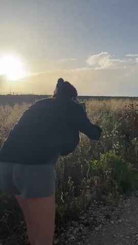 A woman is standing on a dirt path, photographing something in a field with her phone. The sun is in the background, slightly obscured by clouds. The woman is wearing a dark shirt and grey shorts. The field is full of dry grass and weeds. As the camera pans, several wind turbines come into view, stretching into the distance. The sky is blue with some wispy clouds. The camera gets closer to one of the turbines, showing the number "13" painted on its side. The turbines are situated along the same dirt path.