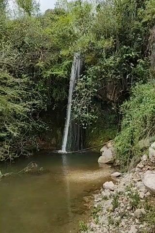 The video showcases a serene natural landscape in Markovići, Montenegro. It opens with a view of a narrow waterfall cascading into a clear, still body of water, possibly a river or pond, surrounded by lush green foliage and trees. The camera then pans to the left, revealing more of the rocky banks and dense vegetation, including a large tree trunk covered in vines. The scene transitions to a wider shot of the natural environment, showing a rocky terrain, more trees, and an overcast sky, suggesting a calm or cloudy day. The overall impression is one of untouched natural beauty, with the sound of flowing water audible. No people or visible text are present in the video.
