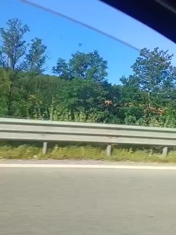 The video shows a view from inside a vehicle, likely a car, looking out a window. The vehicle is moving along a highway. The scenery outside consists of a blue sky, green trees, and a highway barrier. A black Mercedes-Benz sedan passes by on the highway. Further down the road, a yellow truck is visible. The perspective suggests the video is taken from the passenger side, given the position of the side mirror. The road appears to be in a rural or semi-rural area, with a significant amount of vegetation. The sun is shining, indicating daylight.