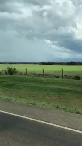 The camera is positioned inside a moving vehicle traveling along a road beside a grassy field under an overcast sky. The field is bordered by a fence. In the distance, a dark line of trees can be seen. The clouds are varied, ranging from light gray to dark, suggesting a potential storm. The grass is green and slightly uneven, indicating a natural, unmanicured landscape. The road has a white line marking the edge. The overall impression is that of a rural scene.