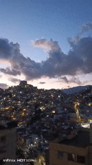 Caracas at dusk: hillside city, a macaw, and evening light