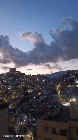 Caracas at dusk: hillside city, a macaw, and evening light