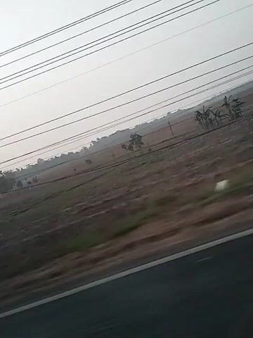 A horizontal camera pans across a dry, grassy field with scattered trees under a hazy sky. Power lines stretch across the upper portion of the frame. The camera appears to be moving at a high speed, possibly from a vehicle, causing motion blur in the scene. The ground is mostly brown and uneven, with some patches of green vegetation. Several indistinct shapes are visible in the distance, possibly structures or other trees. The overall atmosphere is subdued due to the haze and muted colors.