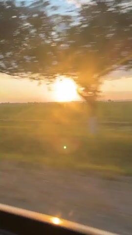 The video shows a time-lapse of a sunset over a grassy field. The sun is a bright orb in the sky, and its rays are casting a warm glow over the landscape. There are some trees in the foreground and middle ground. The sky is a mix of blue and orange, with some clouds. The video appears to have been filmed from a moving vehicle.