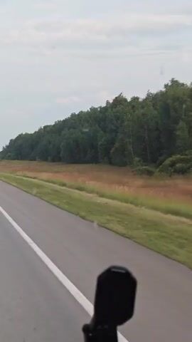 The video shows a view from a vehicle traveling on a highway. The road is asphalt with white lane markings. On the right side of the road, there is a guardrail with red reflectors and beyond that, a line of trees. On the left side of the road, there is more farmland and a distant treeline. Several trucks are visible on the highway, traveling in the same direction as the camera. The sky is overcast.