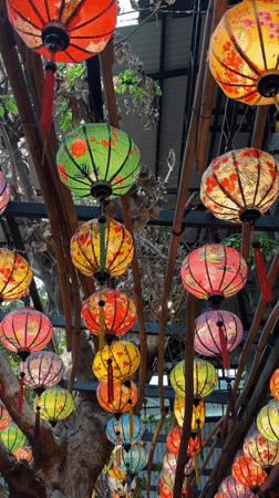 Morning dining scene captured at decorated restaurant in Đà Nẵng
