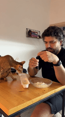 Man prepares food while cat watches in Khimki
