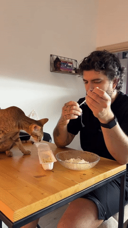 Man prepares food while cat watches in Khimki