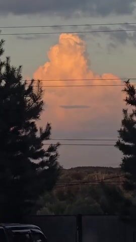 The video shows a large, fluffy cumulus cloud illuminated by the setting sun, casting a warm orange and pink glow against a dusky sky. The cloud is centered in the frame, appearing almost like a towering monument in the sky. The foreground is dominated by the dark silhouettes of two evergreen trees, one on the left and one on the right, framing the cloud. A row of trees and a distant forest line the horizon below the cloud. Two power lines are visible horizontally across the sky, intersecting the cloud's lower half. In the bottom left corner, a portion of a dark-colored vehicle and a black fence are visible, suggesting the viewpoint is from ground level, possibly from a yard or driveway. The overall scene depicts a tranquil evening landscape.