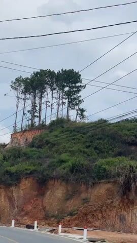 The video shows a roadside view of a small hill or mound topped with a cluster of thin trees. The hill has a steep, exposed side of red clay or dirt. The top of the hill is covered in green vegetation. Power lines cross the sky above the hill. The sky is overcast with pale clouds. A road with safety markers is visible at the bottom edge of the frame. The camera pans slightly during the recording.