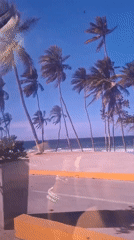 Coastal drive through Venezuelan beaches and landmarks documented