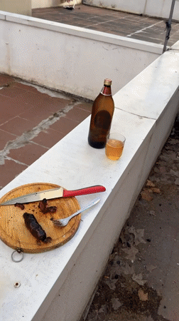Rooftop barbecue session documented in Bragança, Portugal