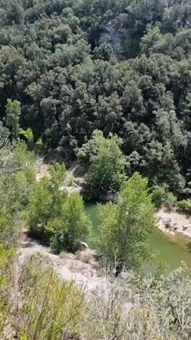 The video begins with a view from a hillside looking down at a river flowing through a forested gorge. The water is a murky green, and the banks are rocky. Lush green trees and vegetation cover the steep slopes of the gorge. In the foreground, there are bushes and dry grasses. As the video progresses, the camera pans to the right, revealing a section of what appears to be an old stone dam or retaining wall in the river. Further to the right, a small, dilapidated wooden structure with a slanted roof sits near the riverbank, perched on stilts. The camera continues to pan, and a large, arched stone bridge comes into view, spanning the river in the distance. Beyond the bridge, the landscape opens up to rolling hills covered in trees, with a hazy sky above. There is no indication of any people or specific actions occurring in the video, just a static, scenic view of a natural landscape with some man-made structures.