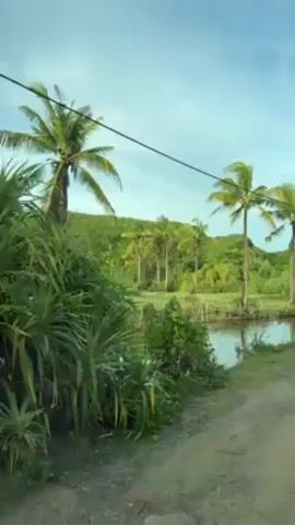 The video shows a tropical landscape with palm trees and a body of water. The camera is positioned inside a vehicle, looking out the side window. A dirt road runs alongside the water, which is partially fenced off. The sky is blue with some clouds. Green foliage covers the area, including a small hill in the background. Electrical wires run overhead. The camera pans slightly to follow the scenery. A reflection of the palm trees can be seen in the water. A voice is heard, asking someone to film the view on the left.