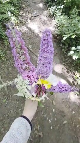 A person walks down a wooded path holding a bouquet of purple, white, and yellow flowers. The path is dirt and has some exposed tree roots. Green foliage lines both sides of the path. Another person is walking ahead of the camera and is further up the path.