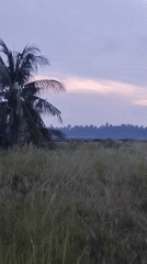 Twilight landscape documented in rural Lhokseumawe, Indonesia