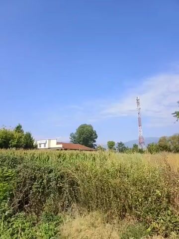 This video shows a view from a moving vehicle. It captures a rural or suburban landscape with blue skies and scattered clouds. The scenery includes vegetation such as bushes, trees, and tall crops, possibly corn. In the distance, a tall transmission tower is visible. There are also houses and fences along the roadside. The video appears to be shot during daylight hours.