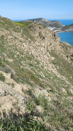 Clear day coastal landscape recorded near Ordzhonikidze beach