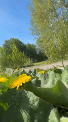 Spring morning scenes documented along Kama River in Chaikovsky