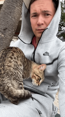 Man pets tabby cat outside in Tivat, Montenegro