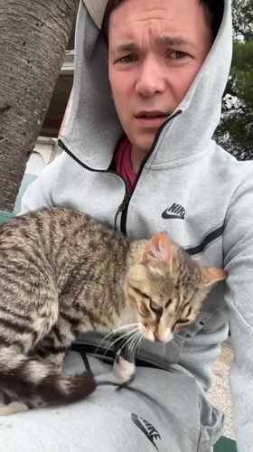 Man pets tabby cat outside in Tivat, Montenegro