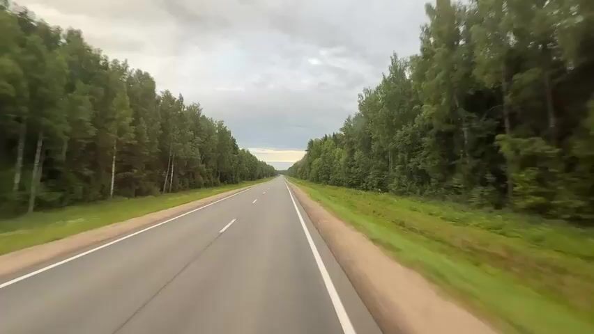 A first-person perspective video shows a car driving down a straight, paved road flanked by dense green trees. The road has a white dividing line. The sky is overcast with clouds. The car appears to be moving at a steady speed.