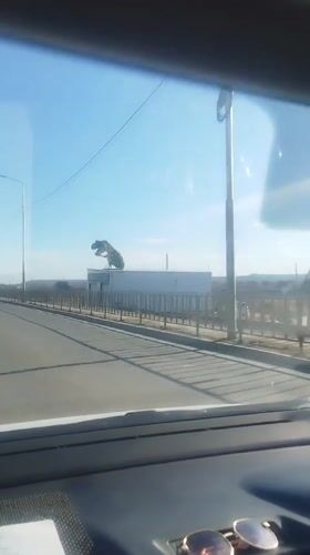 Car crosses bridge in Yakutsk under clear skies