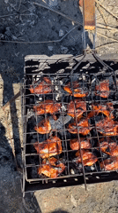 Lakeside barbecue gathering documented in Noviy, Russia spring morning