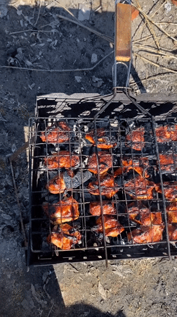 Lakeside barbecue gathering documented in Noviy, Russia spring morning