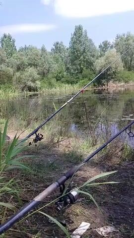 The video shows a calm body of water, likely a lake or river, with dense green trees and reeds lining its banks. The sky is partly cloudy, suggesting fair weather. Two fishing rods are set up on the grassy shore, indicating that someone is engaged in fishing. One rod is positioned in the foreground, angled towards the water, while another is further back, also pointed towards the lake. The scene evokes a peaceful and tranquil atmosphere, typical of a leisurely day spent outdoors engaging in a recreational activity. The time of day appears to be daytime, given the bright lighting and the shadows cast. There is no visible text in the video. The setting is a natural landscape, likely in Radko Dimitrievo, Bulgaria, based on the provided context.