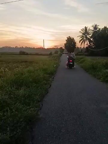 The video shows a paved road winding through a rural landscape during sunrise. A motorcycle with two occupants is traveling away from the viewer down the center of the road. The sun is low on the horizon, creating a vibrant orange and pink sky with scattered clouds. On either side of the road are fields of tall grass and vegetation. Palm trees and other trees are visible in the background. The lighting is warm, and the overall scene suggests a peaceful morning.