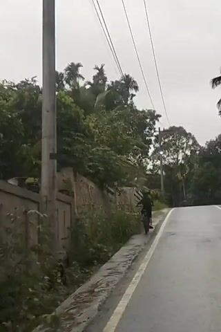 A person is riding a bicycle on a wet road. The person is wearing a dark shirt and shorts. The road is lined with a concrete wall and vegetation. There are utility poles and power lines visible in the background. The sky is overcast.