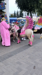 Evening street fair draws crowds in Navapolatsk, Belarus