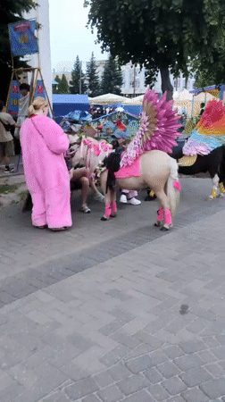 Evening street fair draws crowds in Navapolatsk, Belarus