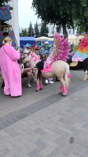 Evening street fair draws crowds in Navapolatsk, Belarus