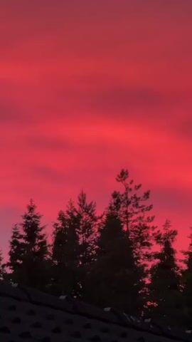 The video displays a time-lapse of a vibrant red sky, likely a sunset, as seen from a dark foreground that appears to be a roofline. Silhouetted against the bright sky are the tops of several evergreen trees, their dark forms creating a stark contrast. The clouds in the sky are streaked and textured, with varying shades of red and pink. The overall effect is dramatic and atmospheric.