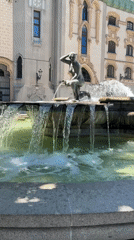 Madrid park visitor films fountain and rose garden