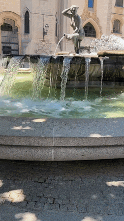Madrid park visitor films fountain and rose garden