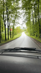 Driver navigates wet roads during overcast conditions in Gierałtowice