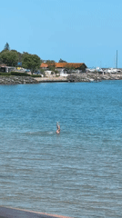 Beachgoer enjoys morning swim at Bulgarian coastal resort