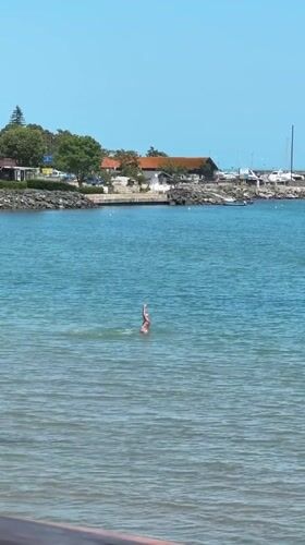 Beachgoer enjoys morning swim at Bulgarian coastal resort
