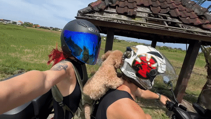 Motorcycle riders with dog travel through North Kuta, Indonesia