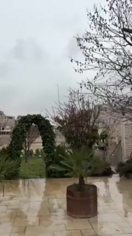 The video shows an outdoor space on a wet, cloudy day. The camera pans across a stone-tiled patio and a garden with various trees and plants. A small palm tree sits in a large rusty planter on the patio. Behind the garden is a stone wall. In the distance, some buildings are visible. The ground and vegetation are wet, suggesting it has been raining.