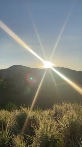 The video shows a sunset over rolling hills covered in vegetation. The sun is bright and causes lens flare, with rays of light radiating outwards. In the foreground, there is tall grass. The time stamps indicate that the video covers the period from 6:00 AM to 6:50 PM. A person is visible in the latter half of the video, sitting on the hilltop.