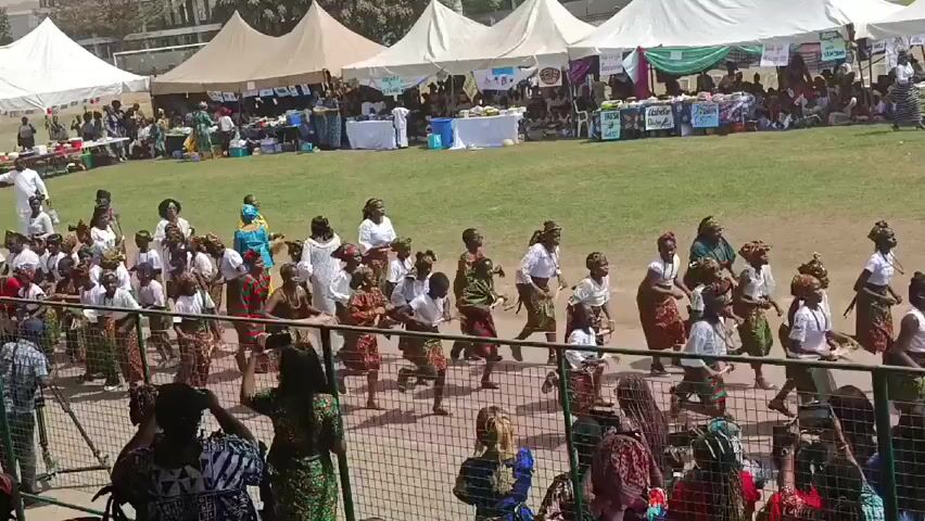 The video shows a group of adults and children performing a traditional dance on a grassy field. They are dressed in a variety of colorful, patterned clothing, with many of the adults wearing head wraps and the children in matching skirts and white tops. They are dancing in unison, moving forward towards the camera. Behind the performers, there is a line of spectators standing behind a metal fence, many of whom are taking pictures or videos with their phones. In the background, there are several white tents set up, suggesting a festival or event. There are signs with writing on them visible on some of the tents. The weather appears to be sunny and bright.